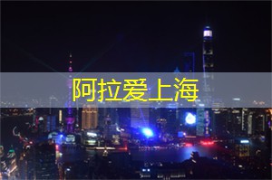 上海论坛奇妙之旅:体验未知、触摸未来! 上海论坛奇妙之旅:体验未知、触摸未来!