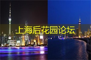 超级富豪集结!上海工作室的神奇财富密码揭秘! 超级富豪集结!上海工作室的神奇财富密码揭秘!